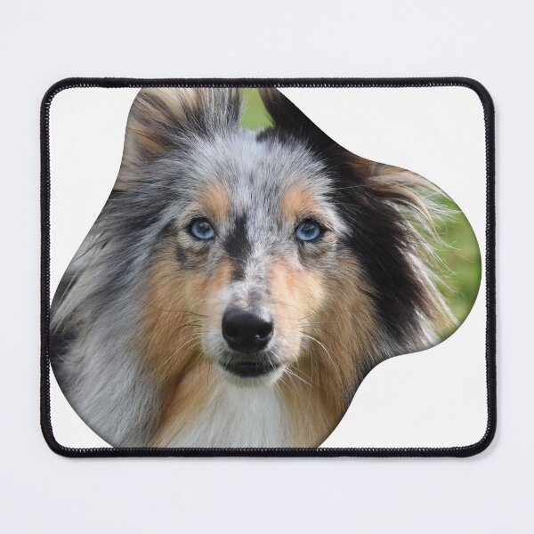 Item preview, Merle Rough Collie  designed and sold by TheAnimalZ00.