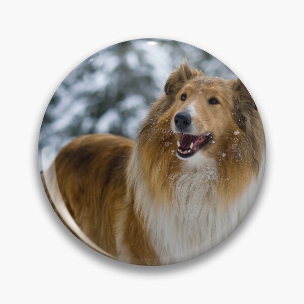Item preview, Rough Collie In Snow designed and sold by TheAnimalZ00.