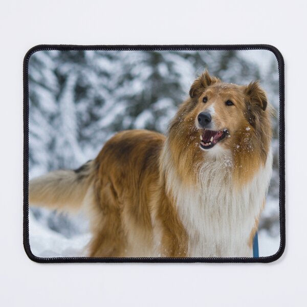 Item preview, Rough Collie In Snow designed and sold by TheAnimalZ00.