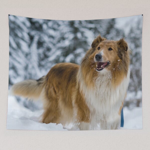 Item preview, Rough Collie In Snow designed and sold by TheAnimalZ00.