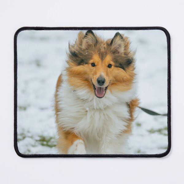 Item preview, Rough Collie Running designed and sold by TheAnimalZ00.