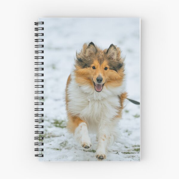 Item preview, Rough Collie Running designed and sold by TheAnimalZ00.