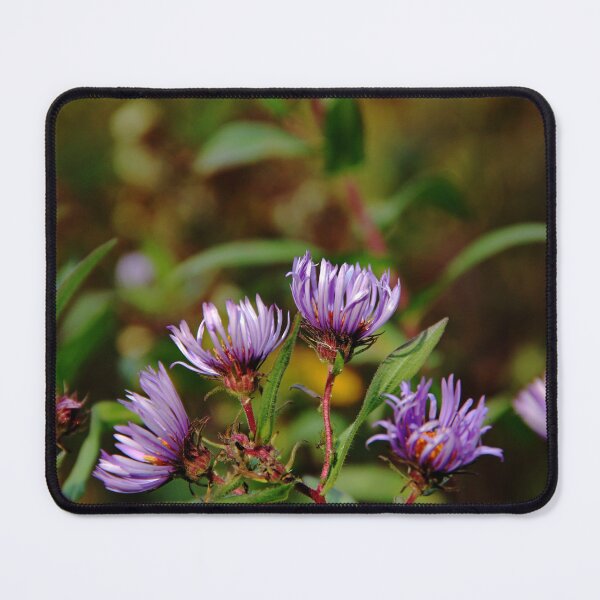 Item preview, Autumn Purple designed and sold by Debbie Oppermann.