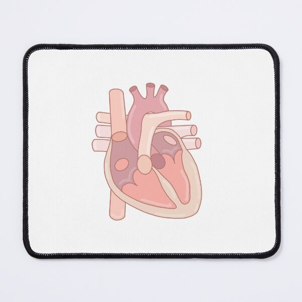 Item preview, Canine Heart in Pink Veterinary Medicine Color Coded & Accurate designed and sold by Ellabella8567.
