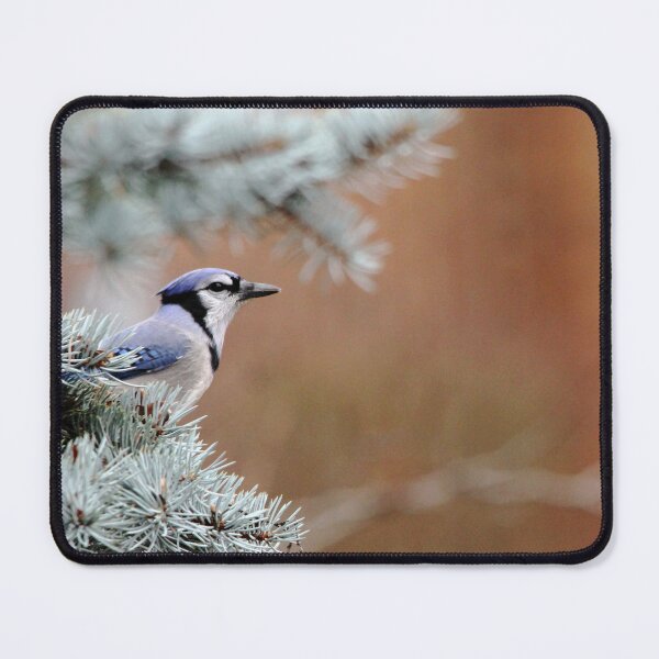 Item preview, Jaybird designed and sold by Debbie Oppermann.