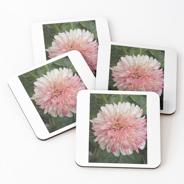 Item preview, Gerbera daisy designed and sold by Bmusicjr.