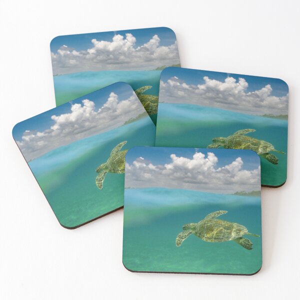 Item preview, Turtle Fly designed and sold by Kevin  Dodge.