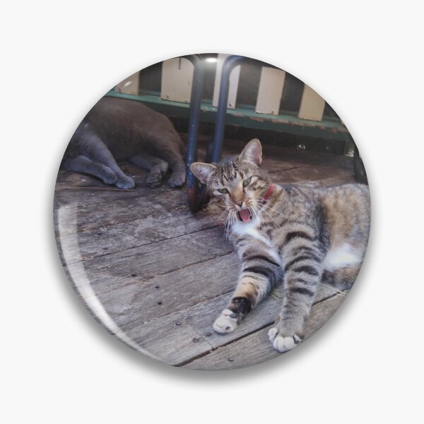 Item preview, Two Chilled Cats on the front Veranda  designed and sold by kerrysart.