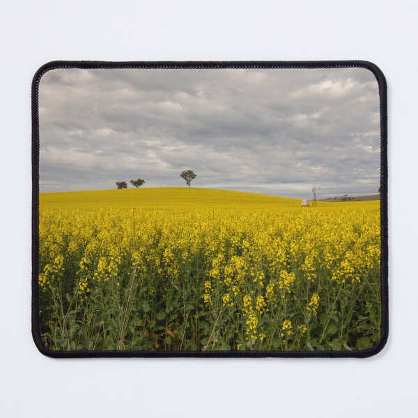 Item preview, In amongst the canola.. designed and sold by mitpjenkeating.