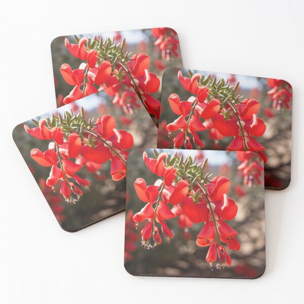 Item preview, Desert Pea designed and sold by mshepdog.