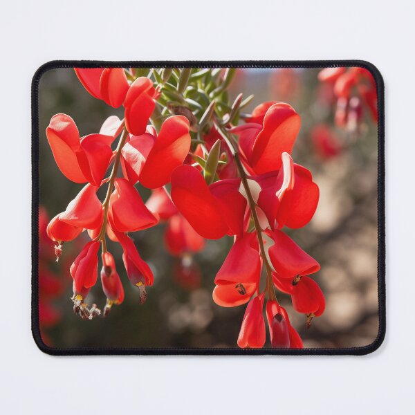 Item preview, Desert Pea designed and sold by mshepdog.