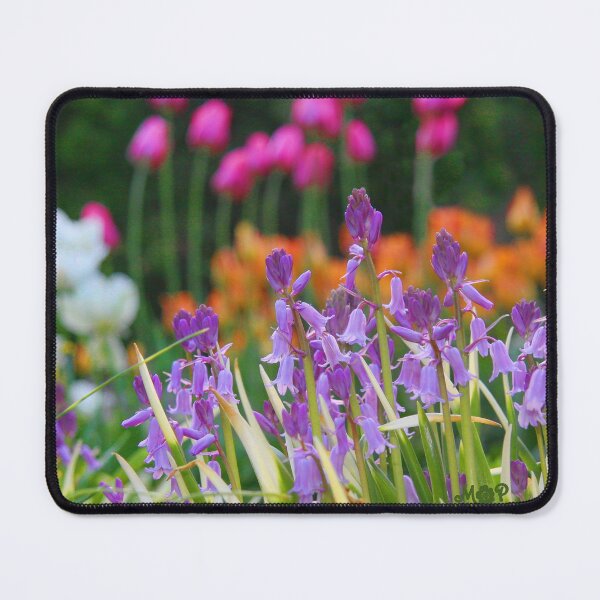 Item preview, Spring Garden Bulbs designed and sold by ImagesShared.