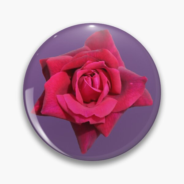 Item preview, A Beautiful Red Rose on Violet designed and sold by STHogan2.