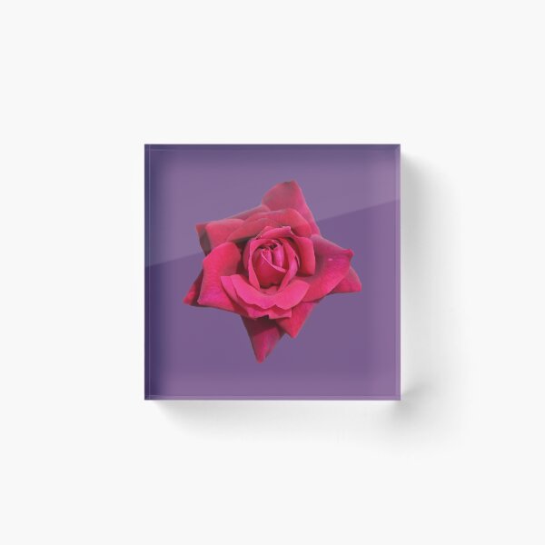 Item preview, A Beautiful Red Rose on Violet designed and sold by STHogan2.