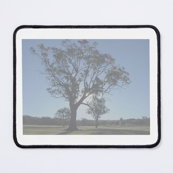 Item preview, Sunlight through the trees on a horse farm designed and sold by EquusEducation.