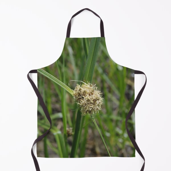 Item preview, Alkali Bulrush Growing Near Soap Lake, Washington designed and sold by The Botanical Jason.