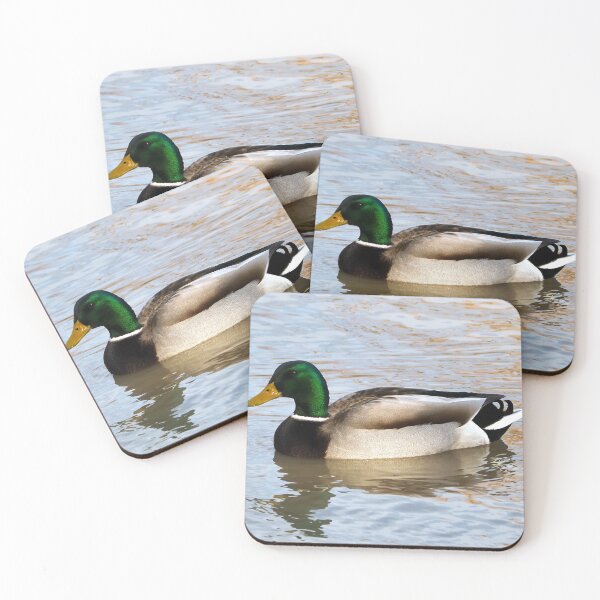 Item preview, A Male Mallard Duck Swimming designed and sold by BackyardBirder.