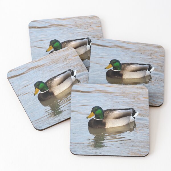 Item preview, Another Male Mallard Duck Swimming designed and sold by BackyardBirder.