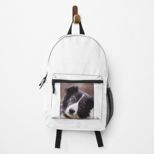 Item preview, Border Collie Tilting Head designed and sold by VanGaldo.