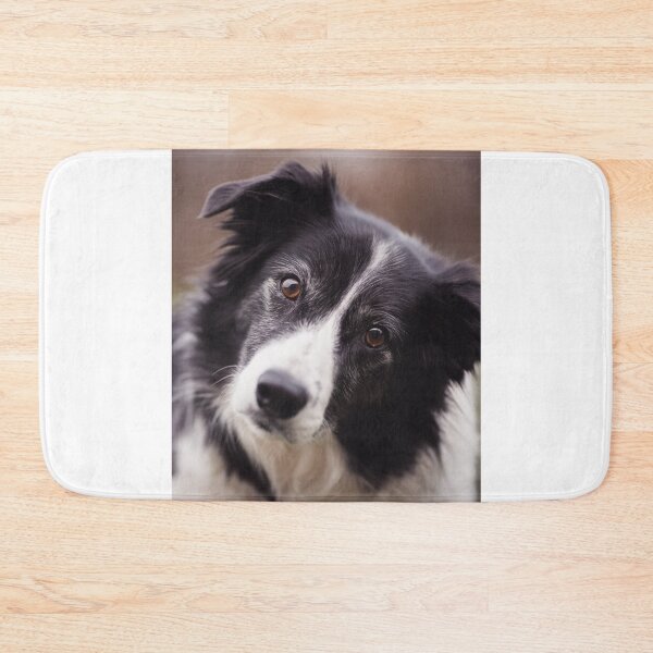 Item preview, Border Collie Tilting Head designed and sold by VanGaldo.
