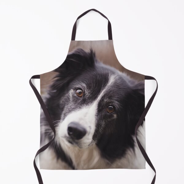 Item preview, Border Collie Tilting Head designed and sold by VanGaldo.