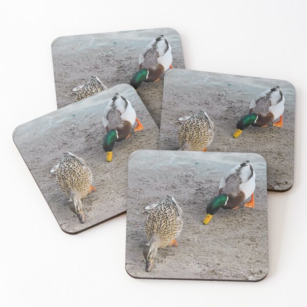 Item preview, Ducks Searching The Beach For Food designed and sold by BackyardBirder.
