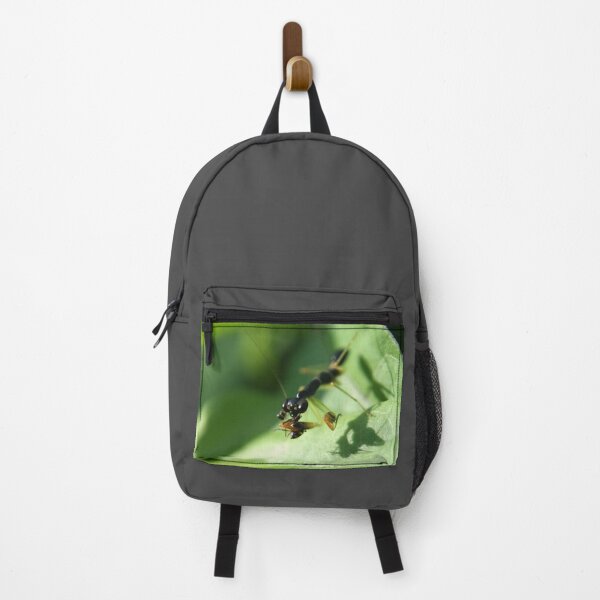 Item preview, Asian ant mantis eating designed and sold by RanranBugs.