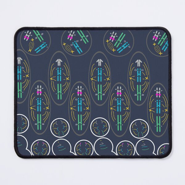 Item preview, Meiosis designed and sold by frooners.