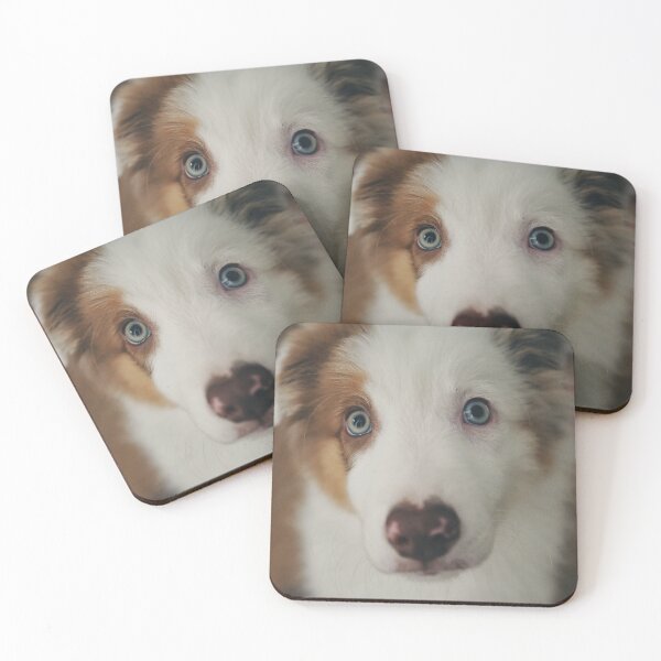 Item preview, Beautiful Brown Border Collie Dog designed and sold by VanGaldo.