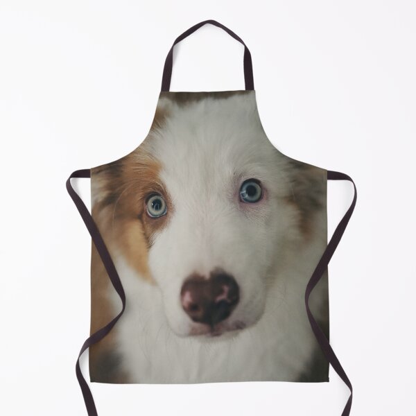 Item preview, Beautiful Brown Border Collie Dog designed and sold by VanGaldo.