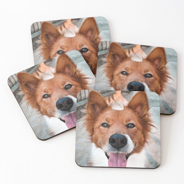 Item preview, Charming Brown Border Collie Dog designed and sold by VanGaldo.