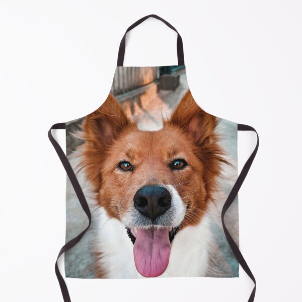 Item preview, Charming Brown Border Collie Dog designed and sold by VanGaldo.