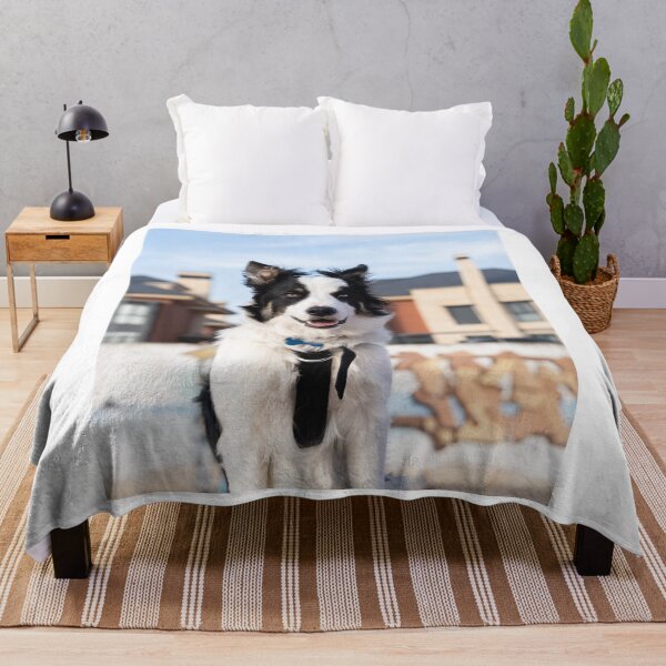 Item preview, Different Eye Colored Border Collie Dog designed and sold by VanGaldo.