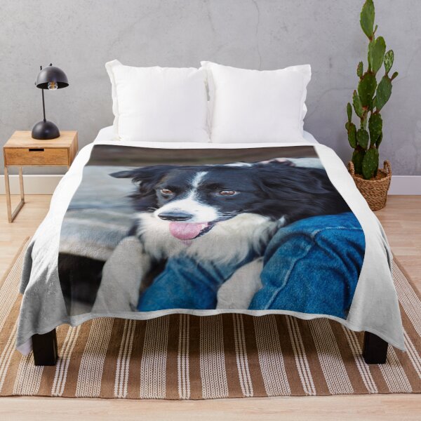 Item preview, Border Collie Dog Sitting on the Bench designed and sold by VanGaldo.