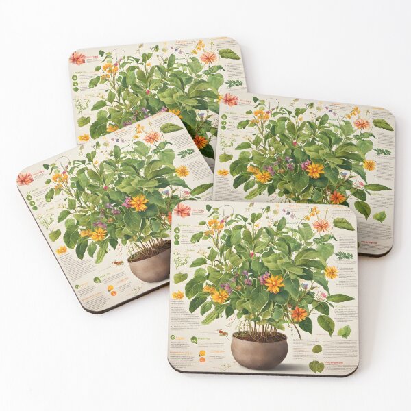 Item preview, Botanical Drawing 15 designed and sold by FeatheredWolf.