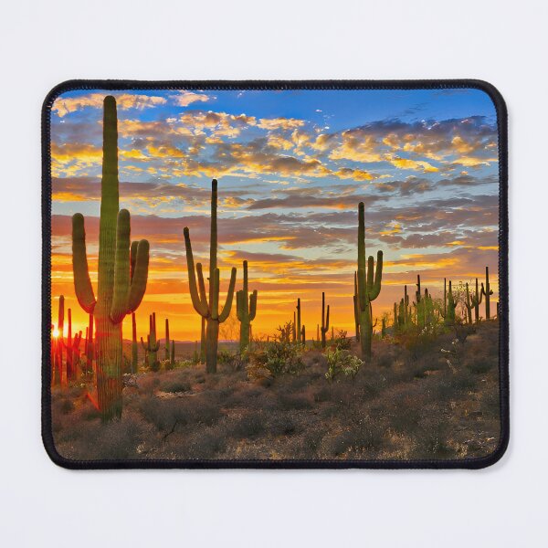 Item preview, saguaro national park designed and sold by Day Dreamer.
