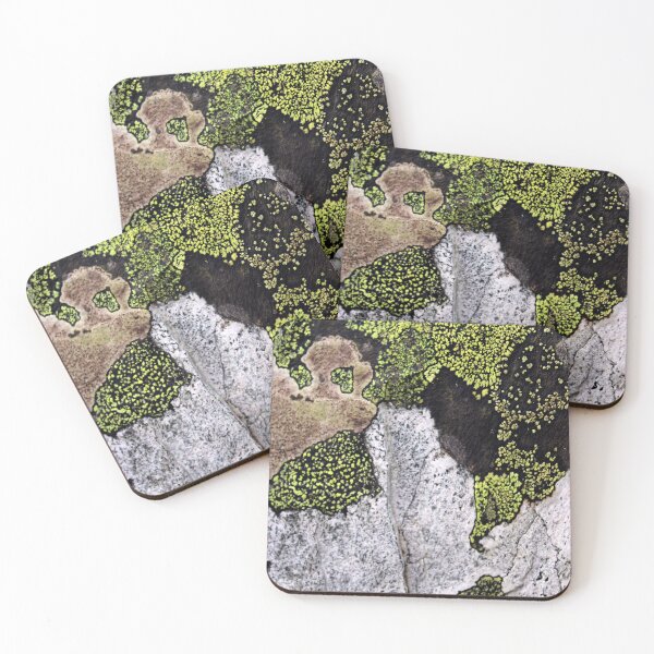 Item preview, lichen designed and sold by KathleenDawson.