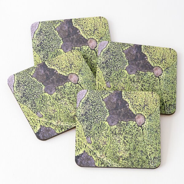 Item preview, lichen designed and sold by KathleenDawson.