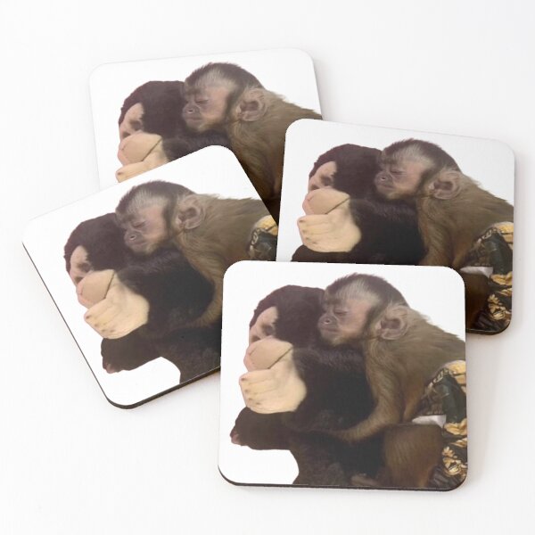 Artikelvorschau, Affe mit seinem Gorilla-Freund entworfen und verkauft von monkey zone.