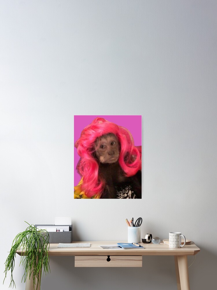 pink wig monkey meme Poster
