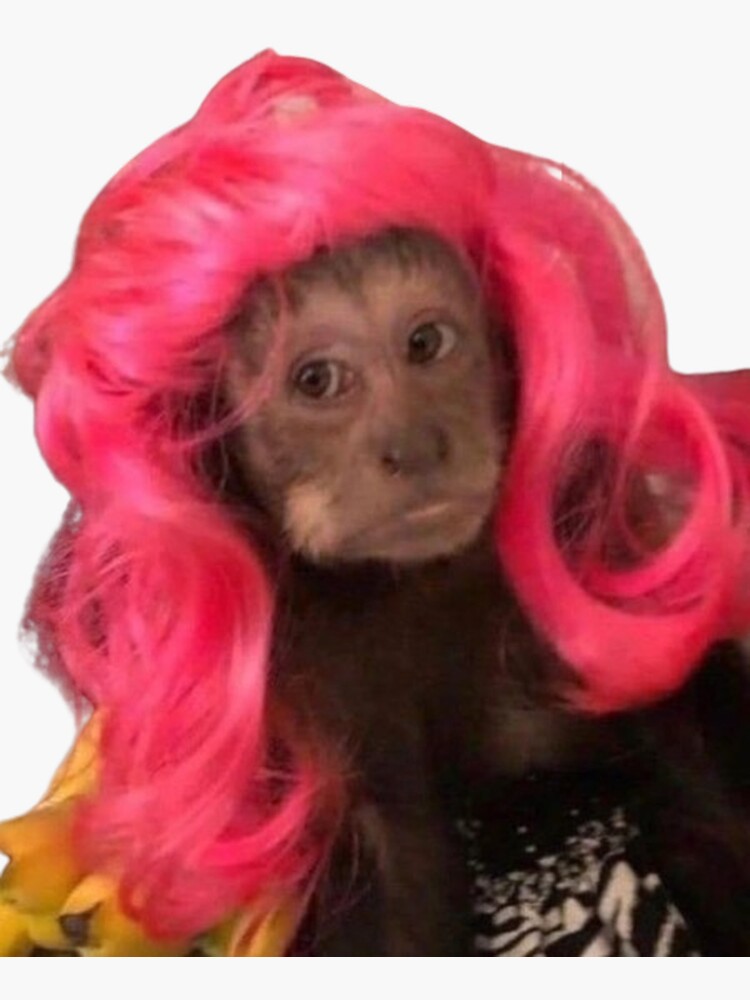 pink wig monkey meme Sticker