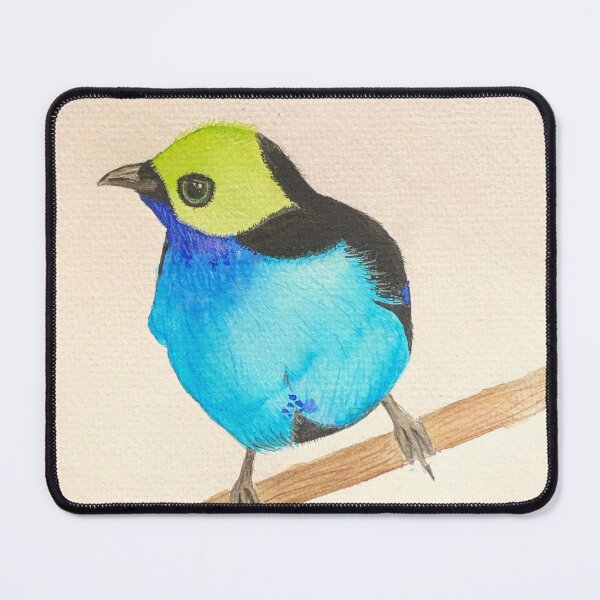 Item preview, Watercolor paradise tanager designed and sold by Ani-illustrates.
