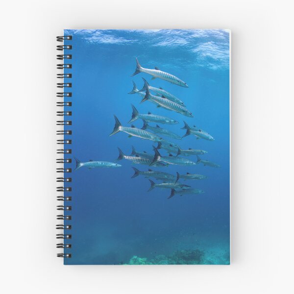 Item preview, School of Barracuda at the Great Barrier Reef designed and sold by slonchak.