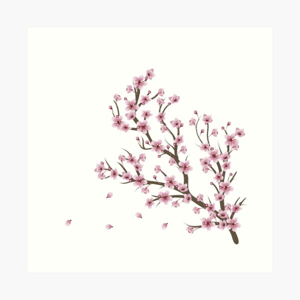 Blooming Sakura Branch design Art Print