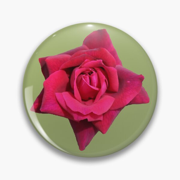 Item preview, A Beautiful Red Rose on Light Green designed and sold by STHogan2.