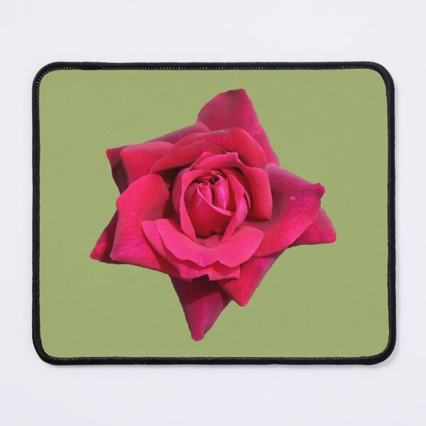 Item preview, A Beautiful Red Rose on Light Green designed and sold by STHogan2.