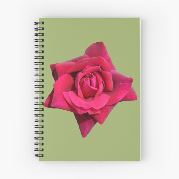 Item preview, A Beautiful Red Rose on Light Green designed and sold by STHogan2.