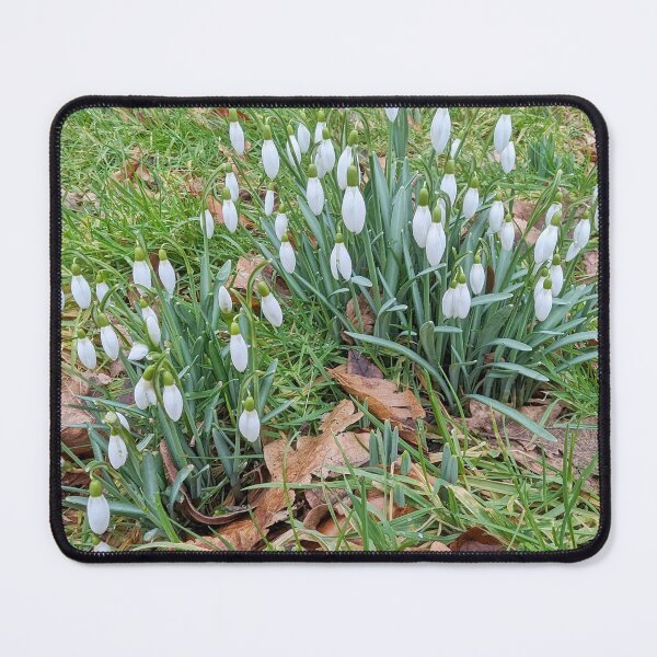 Item preview, Snowdrops. designed and sold by MY Scotland.