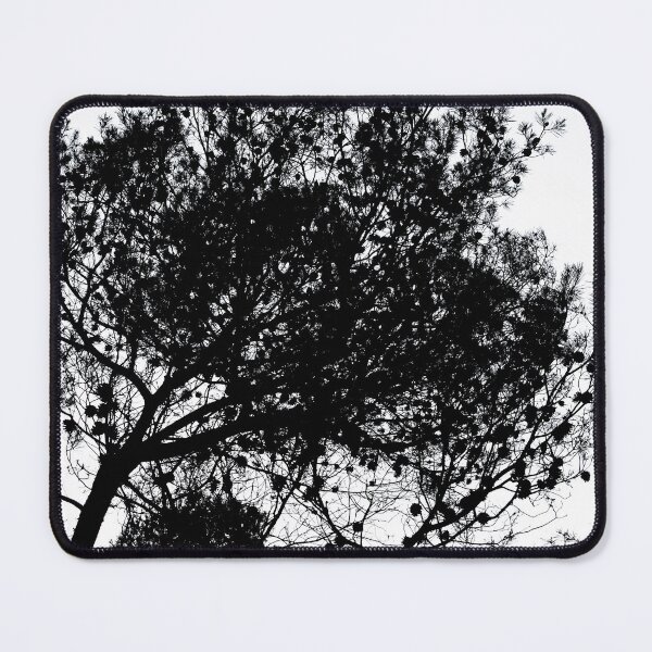 Item preview, Black and White Nature Photograph, Pine Trees designed and sold by IdoFriedmanArt.