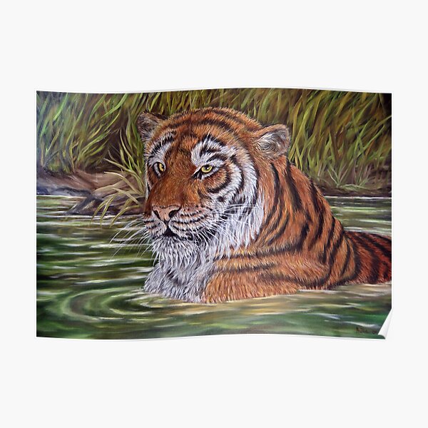 "Tiger Pool" - Oil Painting Poster